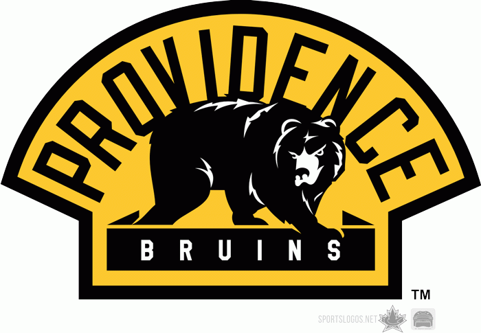 Providence Bruins 2010 11-Pres Alternate Logo iron on paper